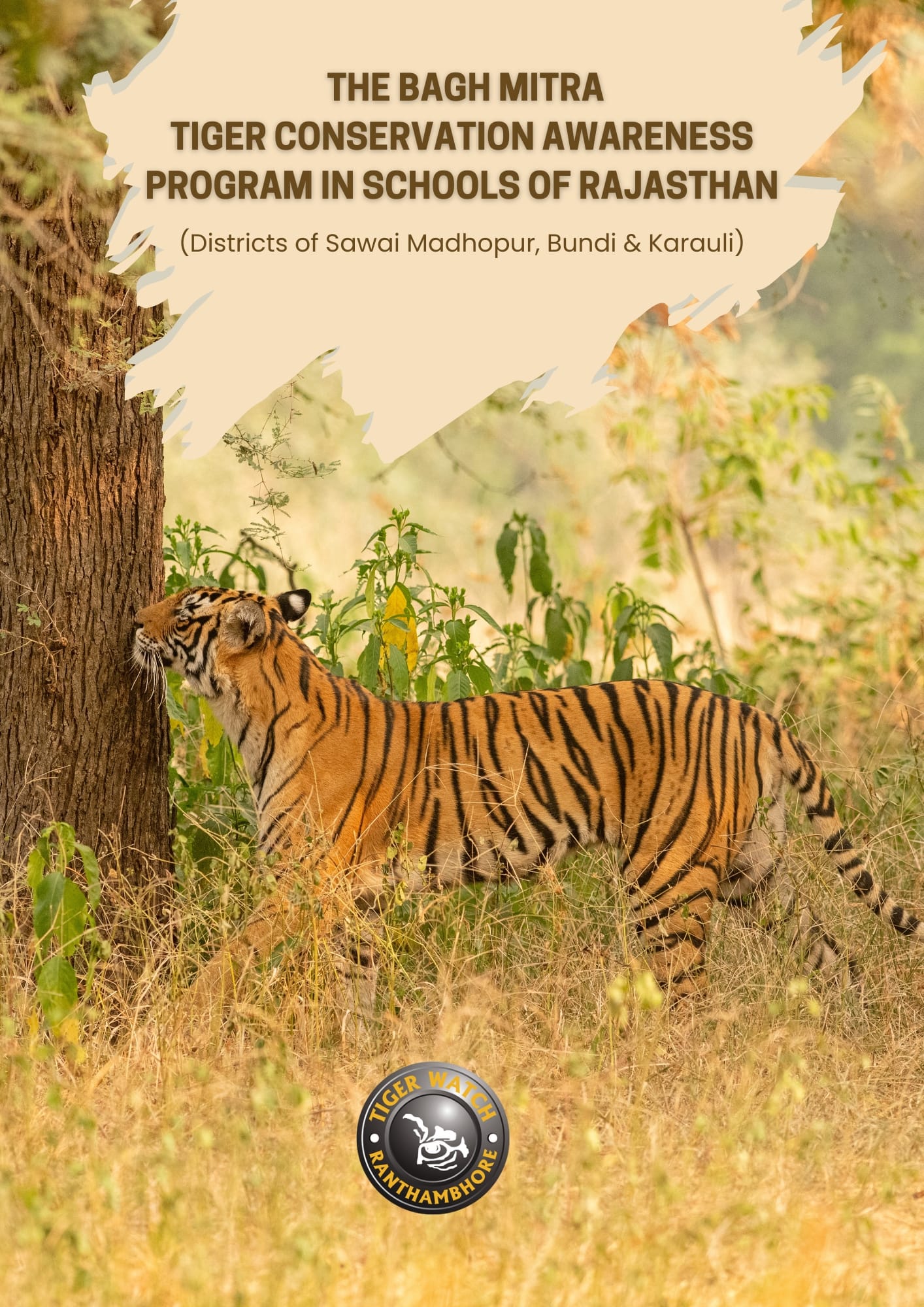 BMP Annual Report - 2024-25