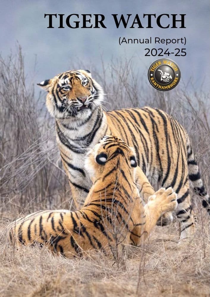 Tiger Watch Annual Report 2024–25 cover