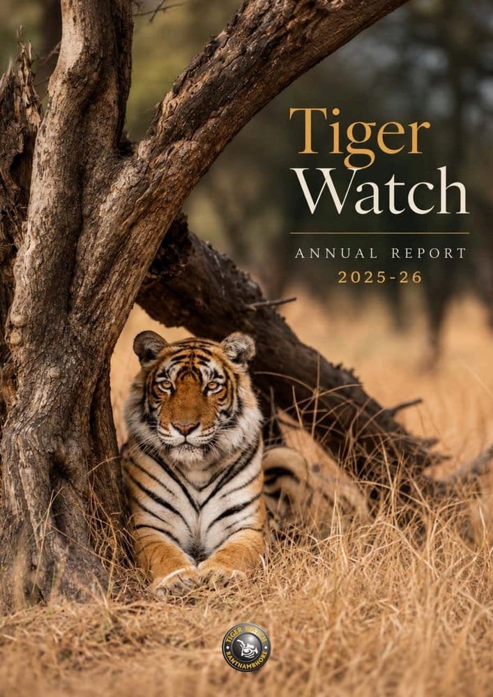 Tiger Watch Annual Report 2025–26 cover
